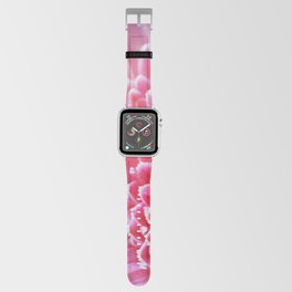 Pink Germini Gerbera Close up 12 Apple Watch Band