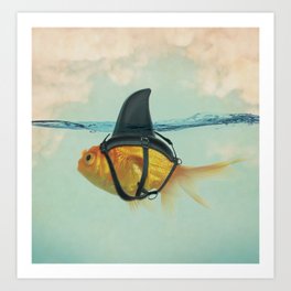 Gold Fish Facing The Viewer E With Some Art Print Home Decor Wall Art Poster 