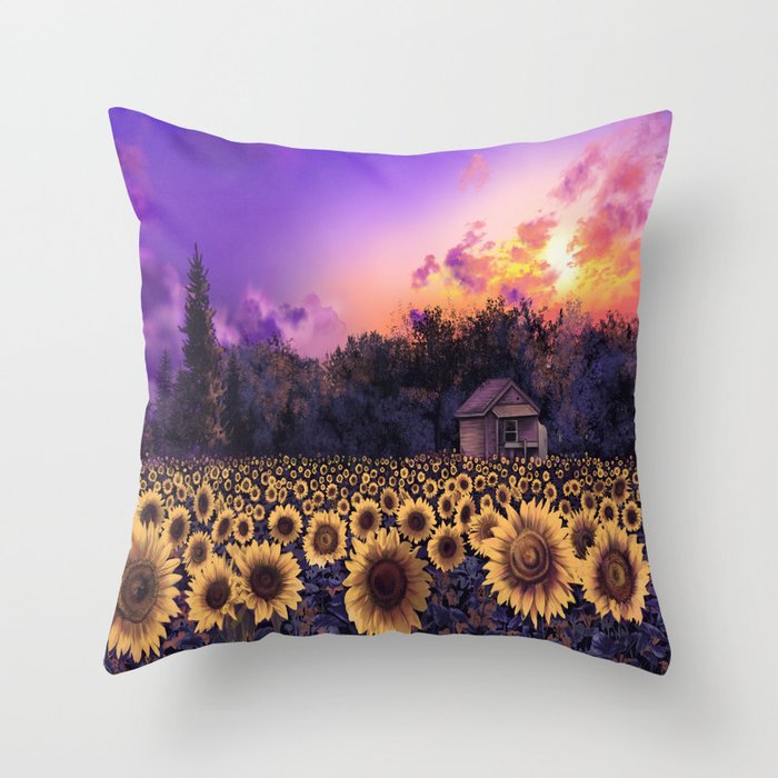 washington dc will love this cool pillows