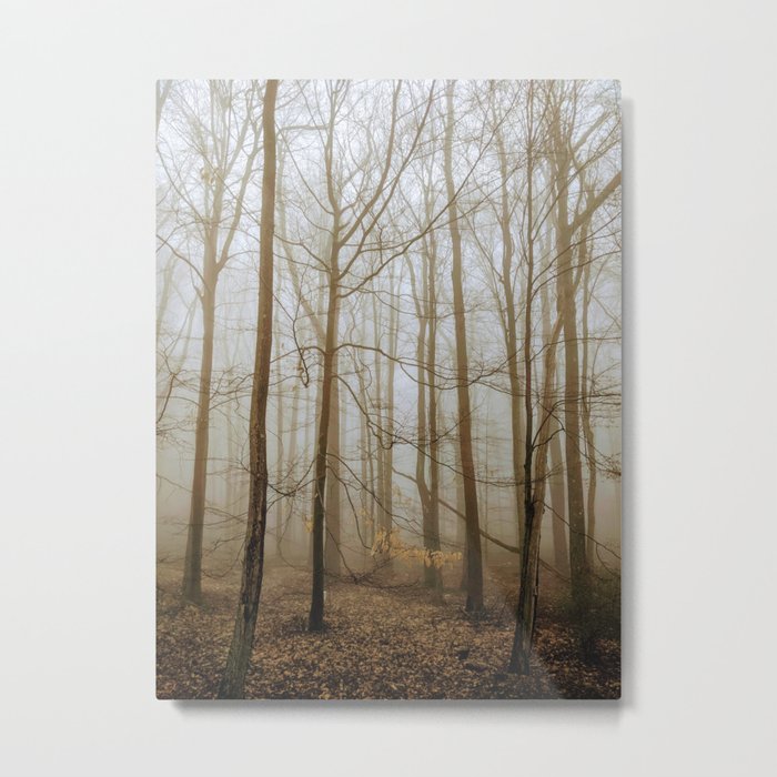 Foggy morning Pocono Summit, Pa Metal Print