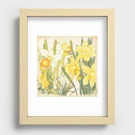Vintage Floral Paper:  Spring Flowers on Shabby White -Daffodils Recessed Framed Print