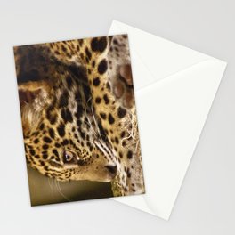 Cute and Sleepy Jaguar Cub Stationery Cards