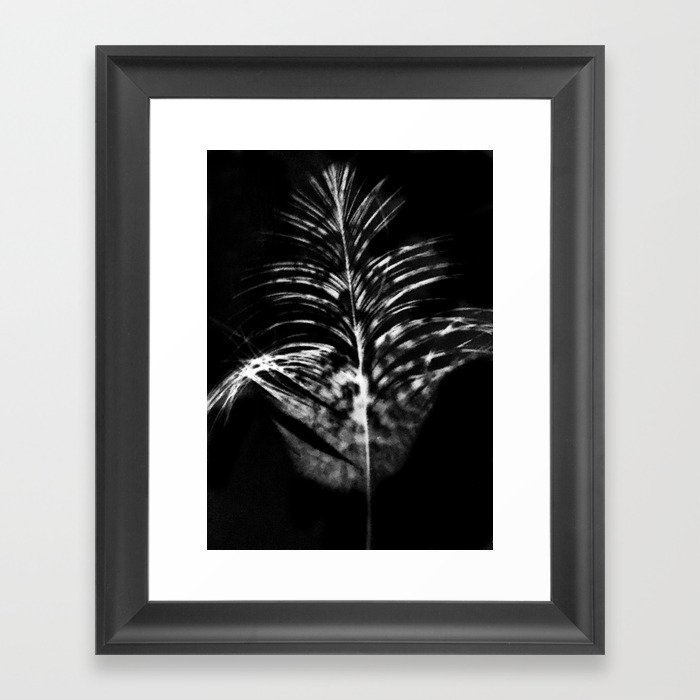 Ibis Feather Photogram Framed Art Print