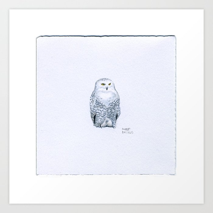 snowy owl line drawing