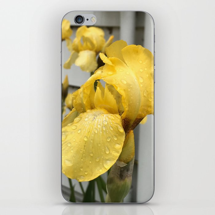 Yellow Iris iPhone Skin