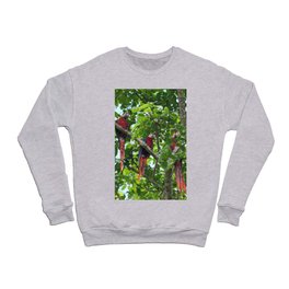 Tropical Birds Crewneck Sweatshirt