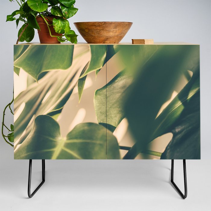 Monstera Deliciosa 'Swiss Cheese Plant' | Botanical Art | Green Leaves Photo | Nature Photography Credenza