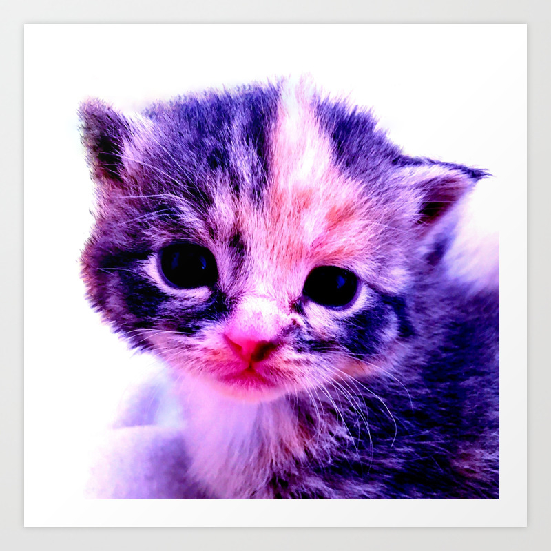 Blue Pink Cute Little Cat Art Print By Costa Society6