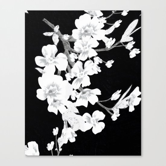 Apple Blossoms Canvas Print