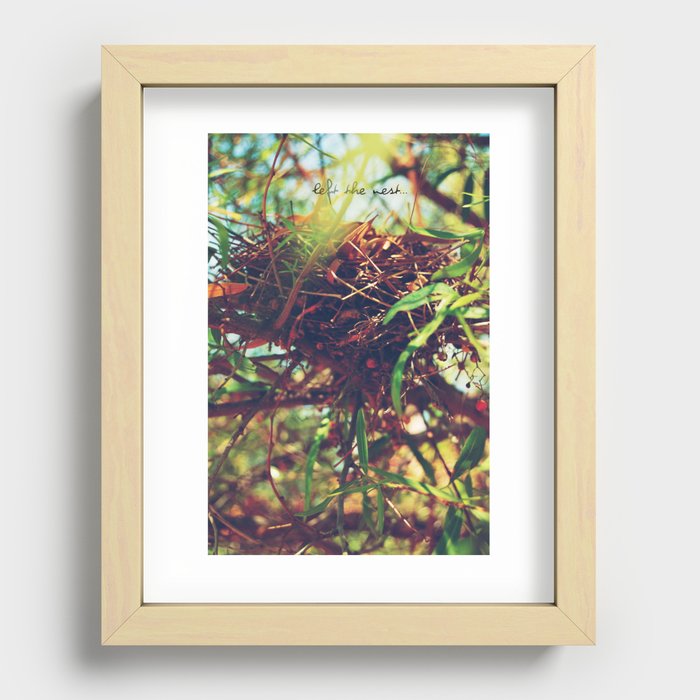 Nest Recessed Framed Print