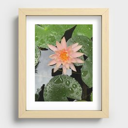 Pink Water Lily Recessed Framed Print