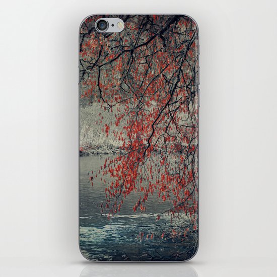by the River iPhone & iPod Skin