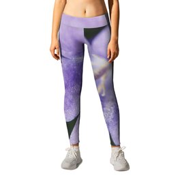 The giant bellflower- Campanula latifolia Leggings