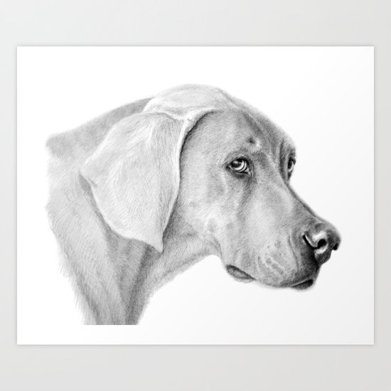 Weimaraner G2012-060 Art Print