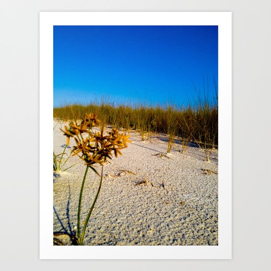 Beach Bouquet Art Print