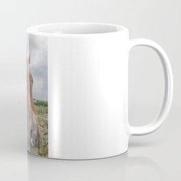 Horse at wall Coffee Mug