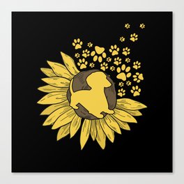 Sunflower with paws and dachshund Canvas Print