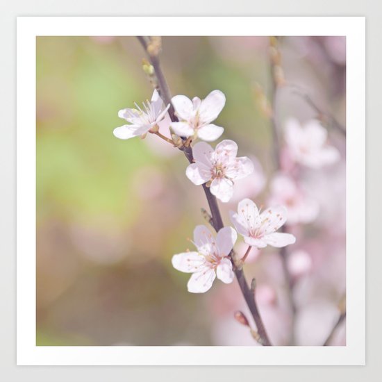 Fairytale Cherry Blossom Art Print