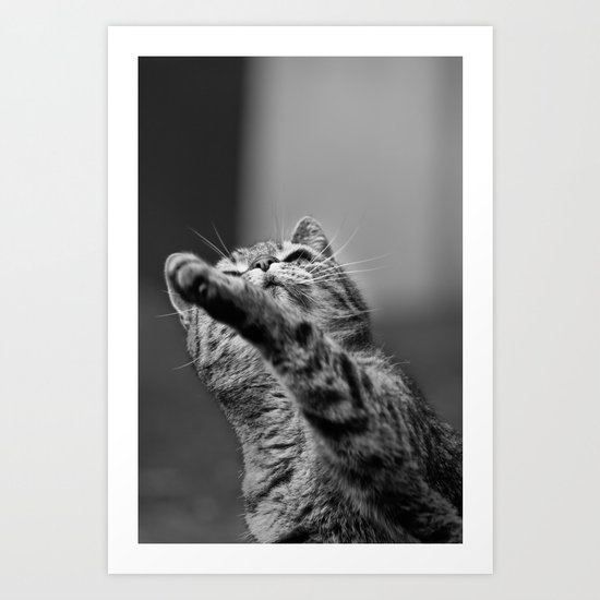 my little cat Art Print