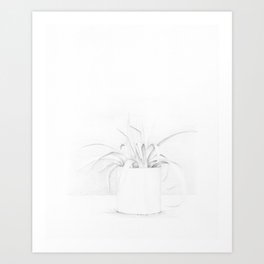 Spider Plant Art Print