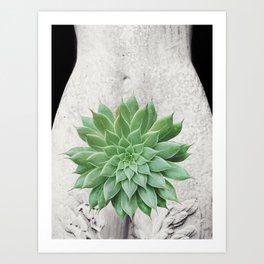 A Succulent Woman Art Print