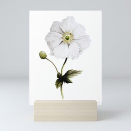 anemone Mini Art Print