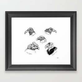 Vultures Framed Art Print