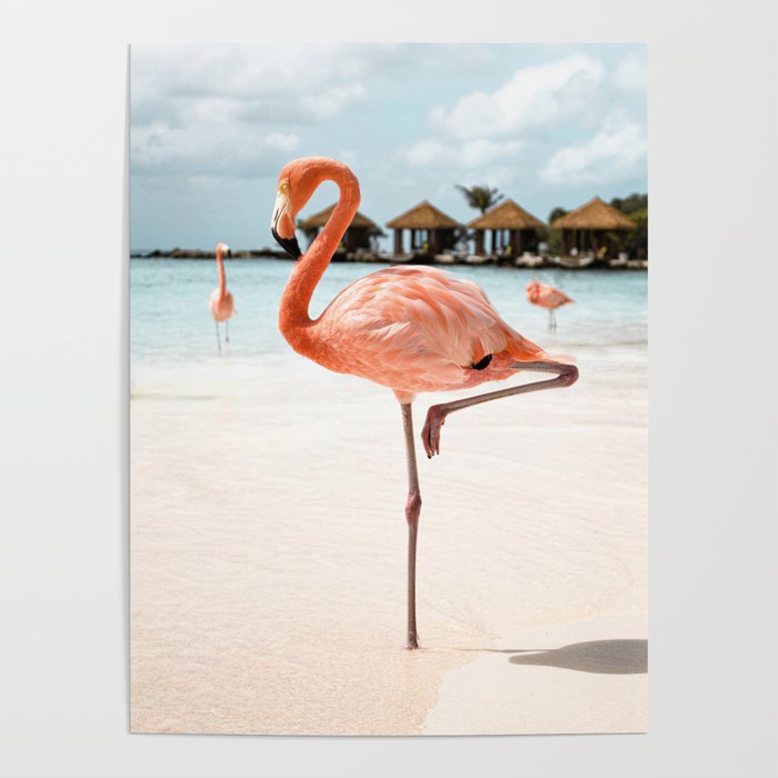 Pink Flamingo Beach Summer Photo | Aruba Tropical Island Art Print | Caribbean Travel Photography Poster