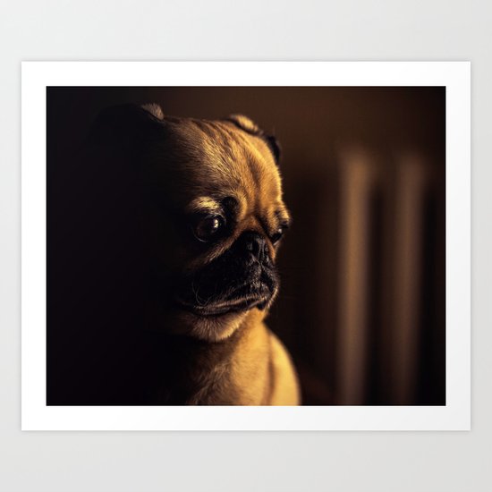 Cute Pug Dog Art Print