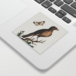 Vintage bird illustration Sticker