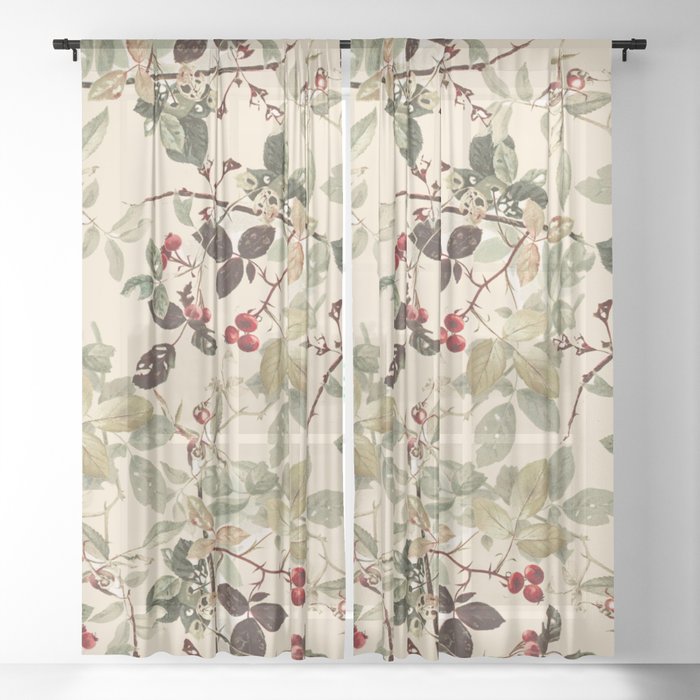 Sheer Curtain