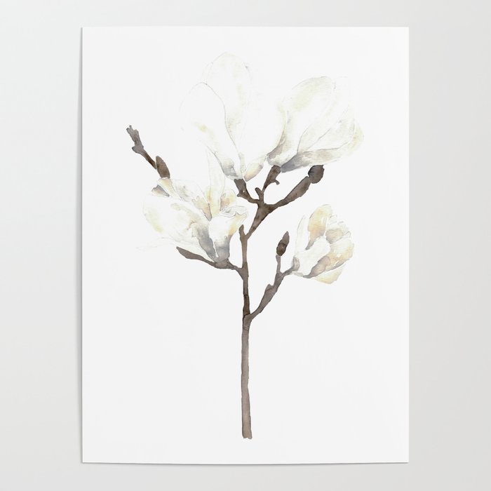 Magnolia blossom flowers Watercolor Poster