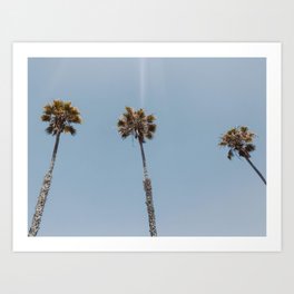 three palm trees vi / san diego, california Art Print