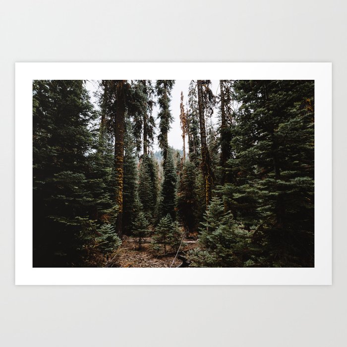 You Can Find Me in the Forest Art Print