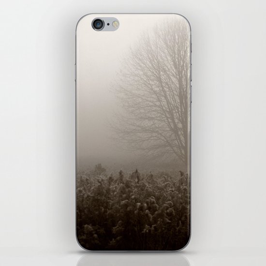 Falls first frost iPhone & iPod Skin