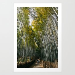 Arashiyama Bamboo Groves Art Print