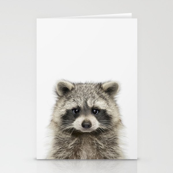 Raccoon Stationery Cards