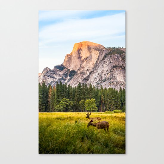 Other Side of the Mountain Canvas Print