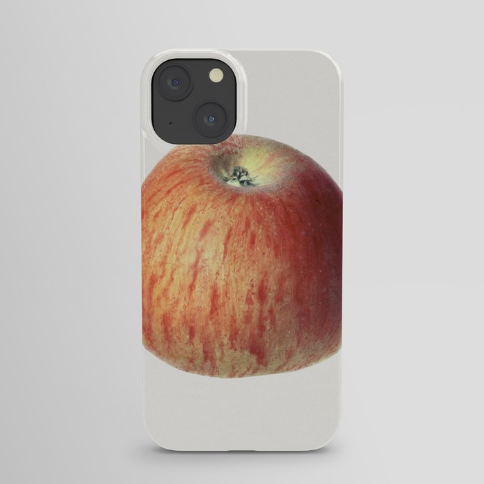 Vintage apple illustration. 12 iPhone Case