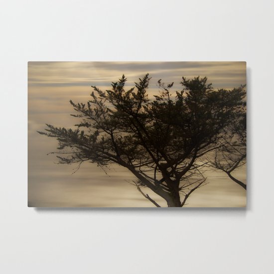forest's whisper at the dawn Metal Print