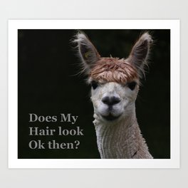 Funny hairstyle alpaca hairdressing Art Print