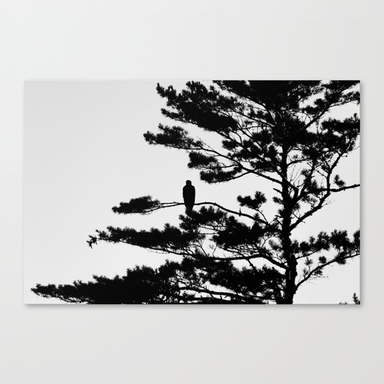 Silhouette Canvas Print