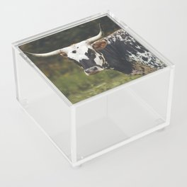 Momma Cow Acrylic Box