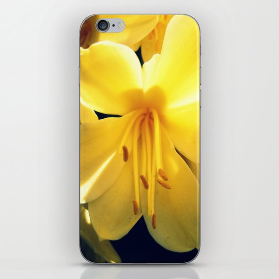 Yellow iPhone Skin