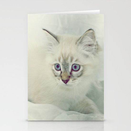 cAT Stationery Cards