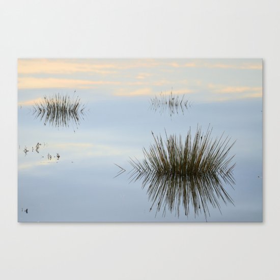 Blue reflections Canvas Print