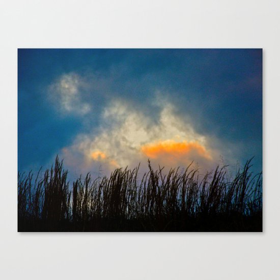 Last Bit of Sun Canvas Print