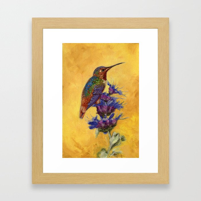 Allen's Hummingbird on Bee Balm Framed Art Print