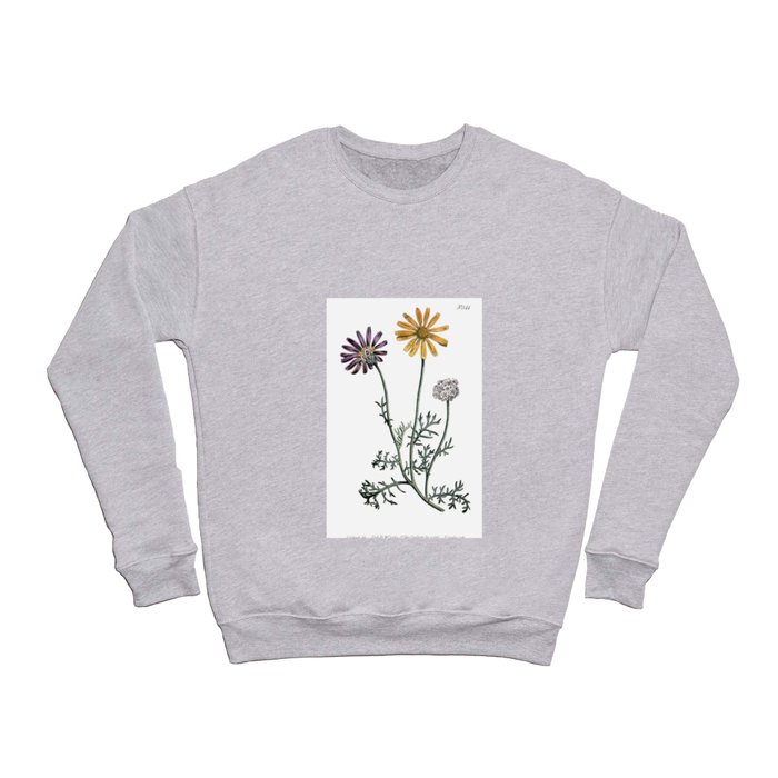Mountain Marigold (Ursinia Anthemoides) Crewneck Sweatshirt