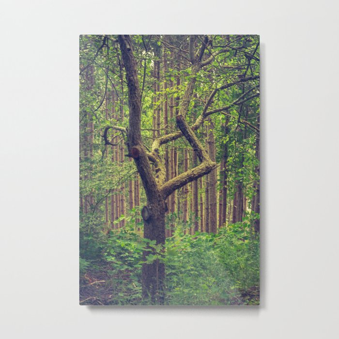 The Diamond Tree Metal Print